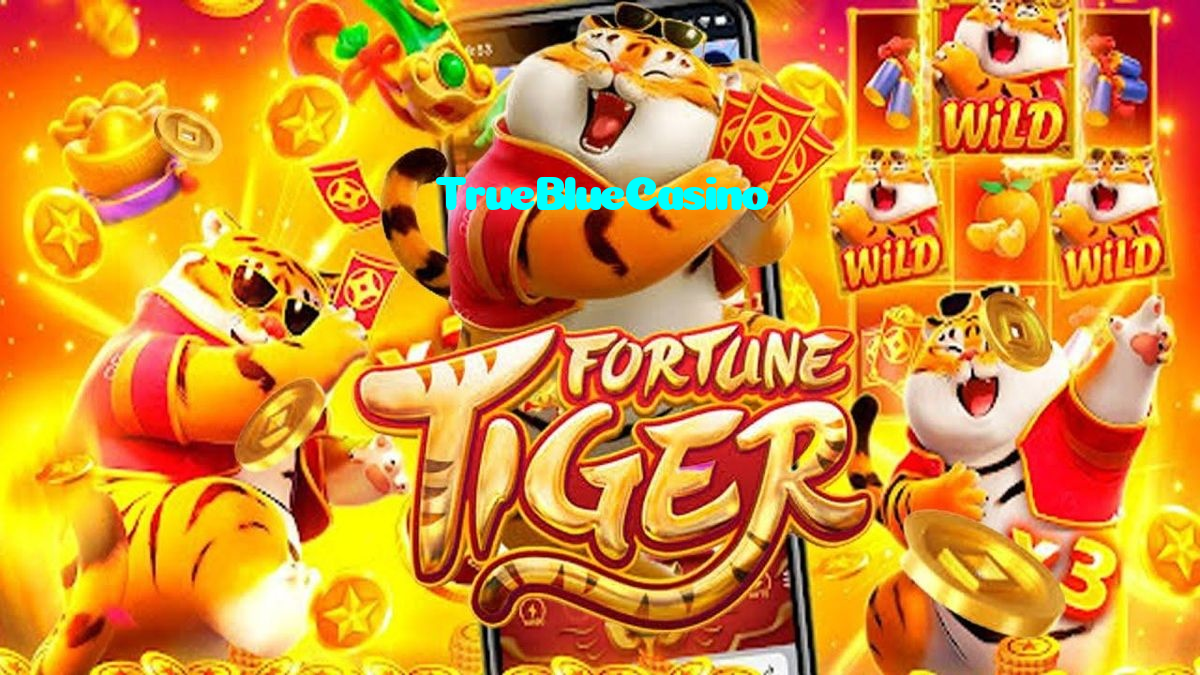 available types of TrueBlueCasino bet including pre-match live express and system bets